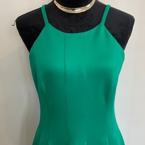 💜Petite Like Brand New Fitted Flare Dress